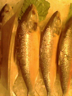 我在上海。。某海鲜饭店