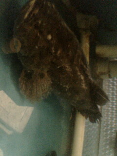 我在上海。。某海鲜饭店