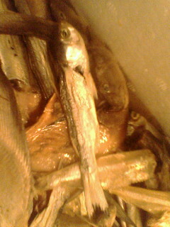 我在上海。。某海鲜饭店