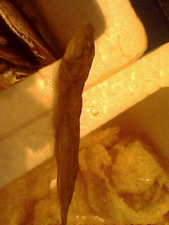 我在上海。。某海鲜饭店