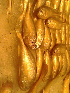 我在上海。。某海鲜饭店