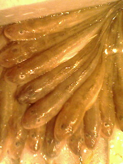 我在上海。。某海鲜饭店