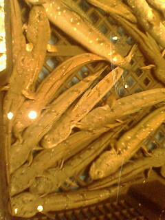 我在上海。。某海鲜饭店