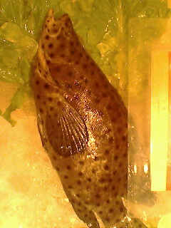 我在上海。。某海鲜饭店