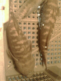 我在上海。。某海鲜饭店