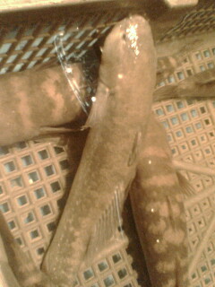 我在上海。。某海鲜饭店