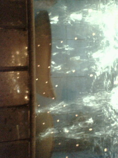 我在上海。。某海鲜饭店