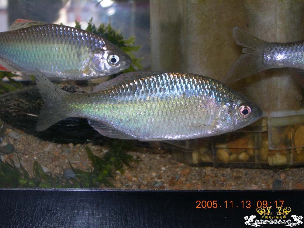 EMOviqM3.jpg
