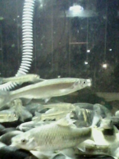 上几张照片,看看一共有多少种