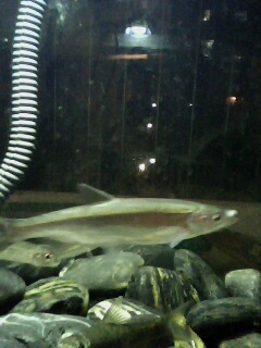 上几张照片,看看一共有多少种