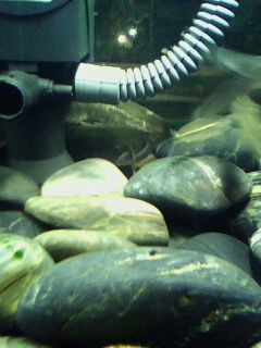 上几张照片,看看一共有多少种