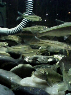 上几张照片,看看一共有多少种