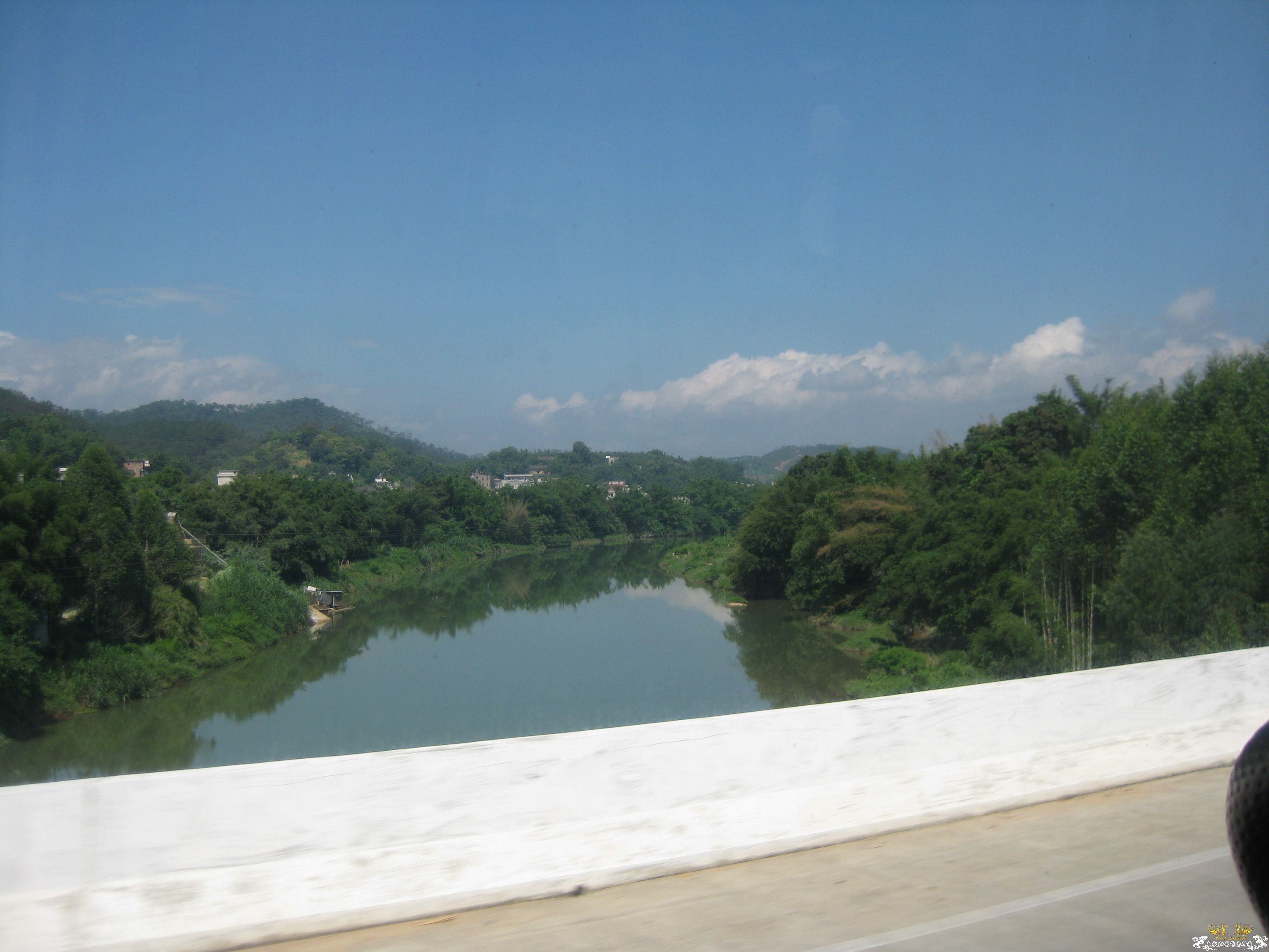 野采又没采（1）