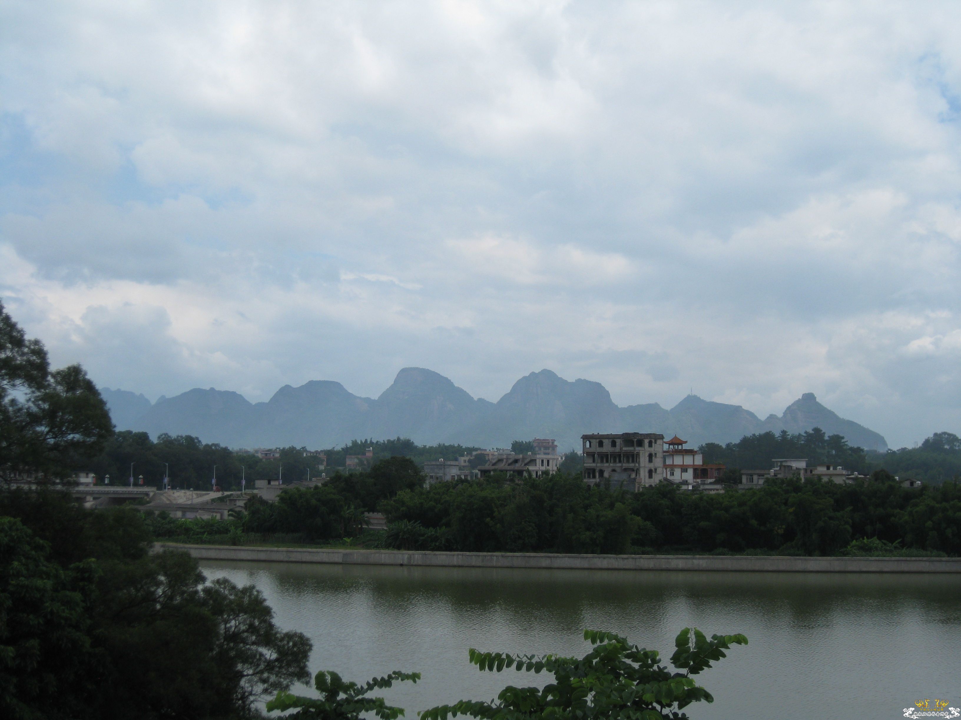 野采又没采（3）
