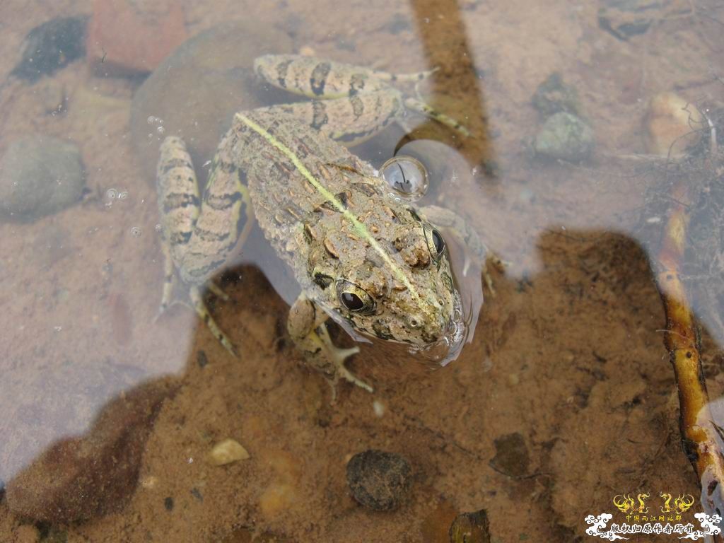 09年10月9号偷闲去野采&钓鱼...