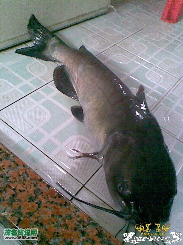 [转帖]很多人都不认识！到这里来求名？