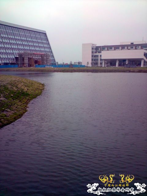 第二次“饲料鱼”收购行动——有条小鳊鱼哦