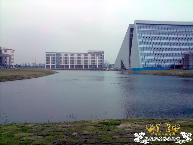 第二次“饲料鱼”收购行动——有条小鳊鱼哦