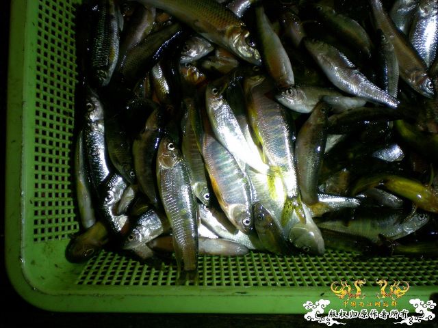 让大家和我一起心里滴血吧~~