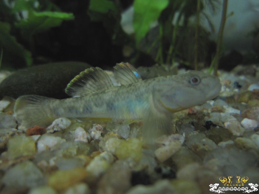 炖一锅大杂烩！