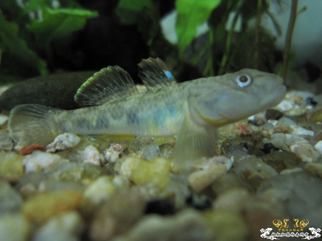 炖一锅大杂烩！