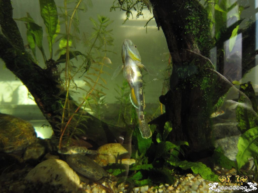 炖一锅大杂烩！