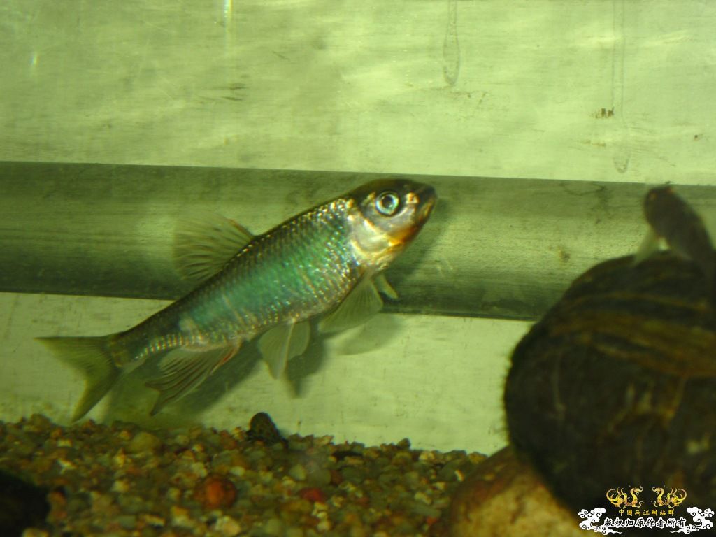 炖一锅大杂烩！