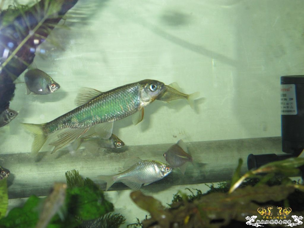 炖一锅大杂烩！