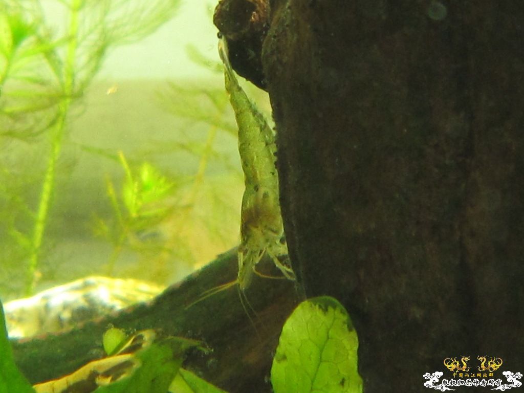 炖一锅大杂烩！