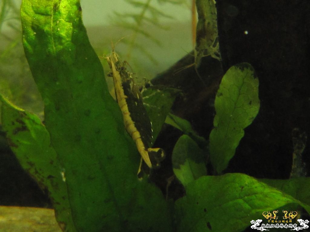 炖一锅大杂烩！