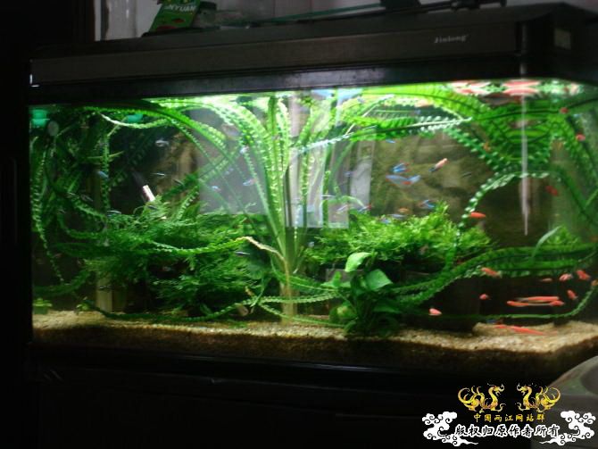 《锐志皇冠配件网》申请友情链接