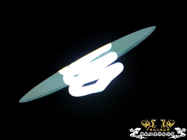 惦记十一回家拍的俩鱼缸了，不知现在情况如何