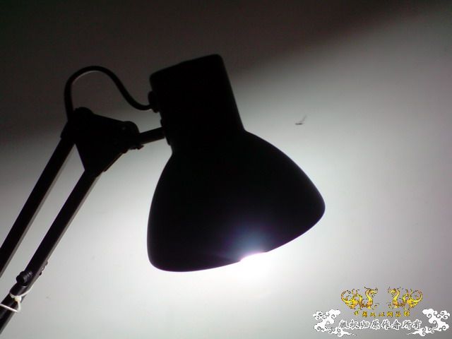 惦记十一回家拍的俩鱼缸了，不知现在情况如何