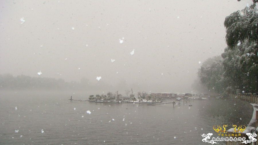 深秋大雪纷飞中的北京后海野鸭岛 [12P]