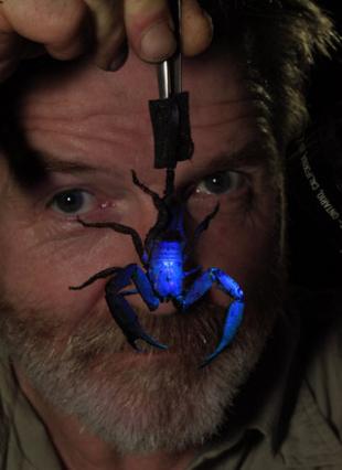 [转帖]火山口内的失落世界