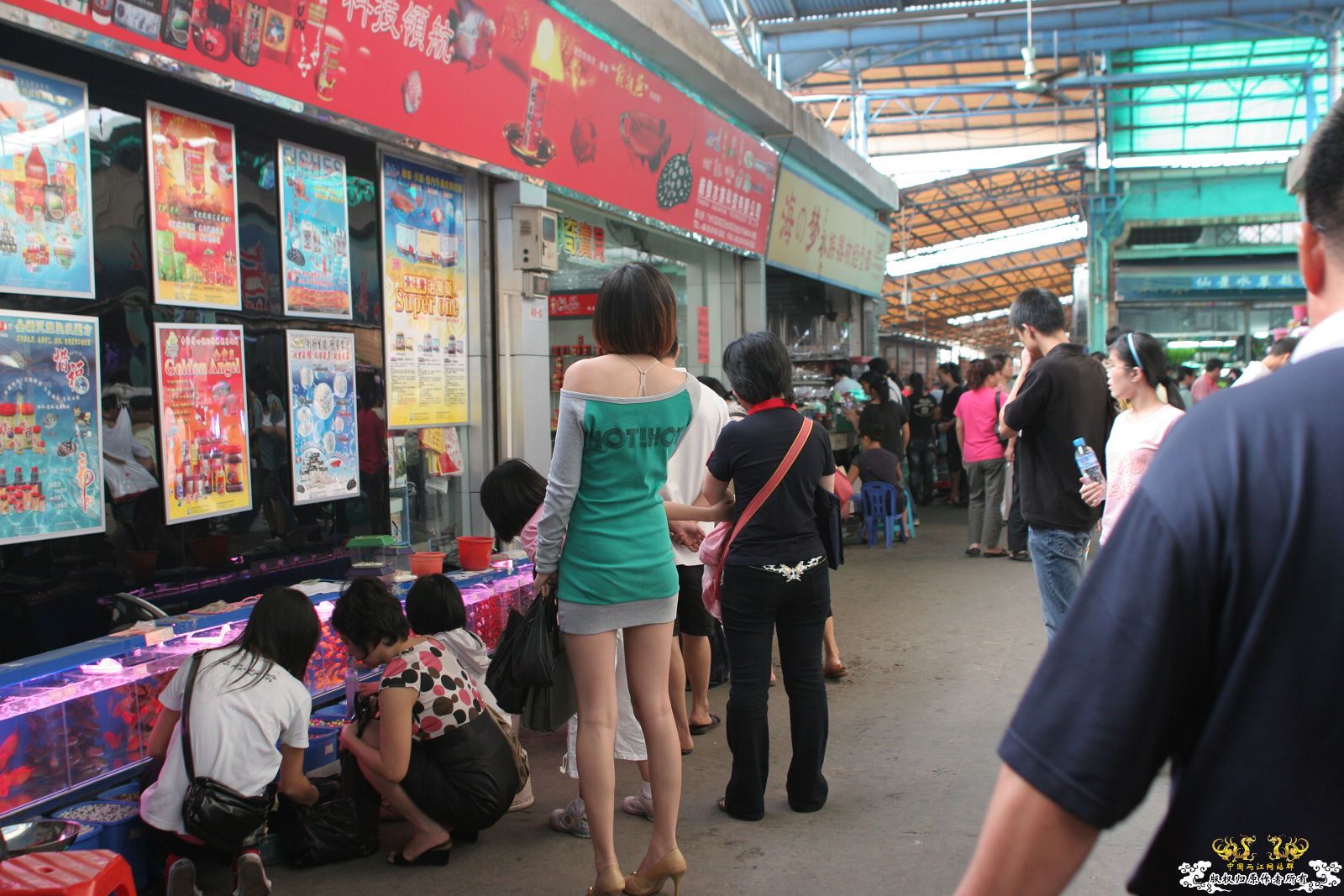 大家喜欢的原生品种