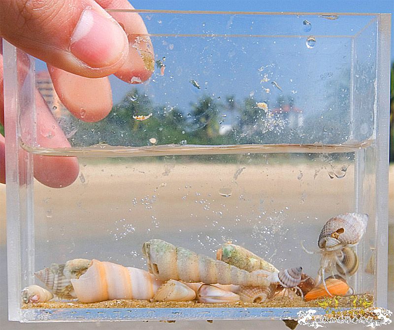 行摄海南（好多鱼）