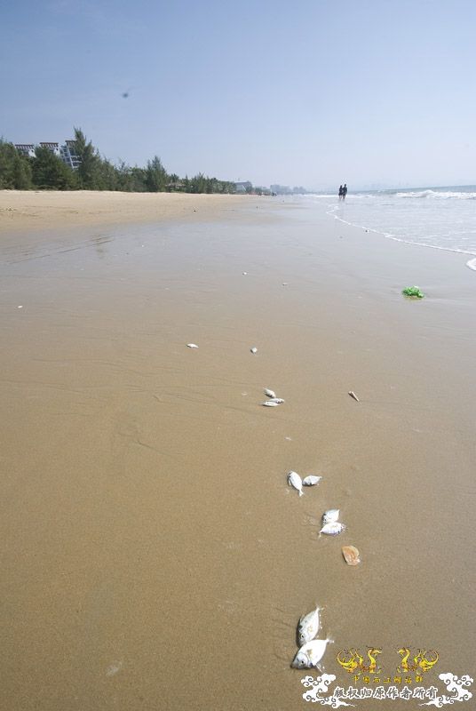 行摄海南（好多鱼）