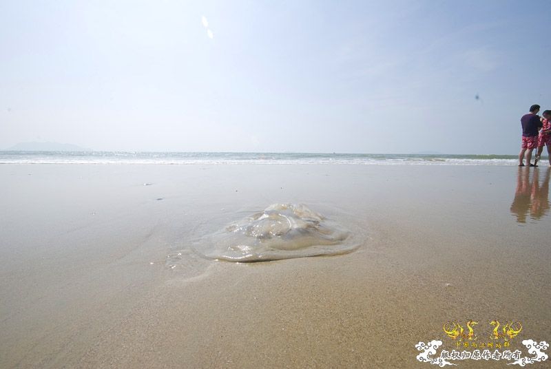 行摄海南（好多鱼）