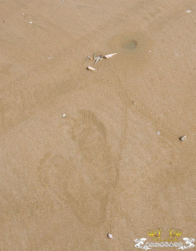 行摄海南（好多鱼）