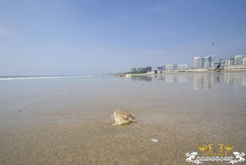 行摄海南（好多鱼）
