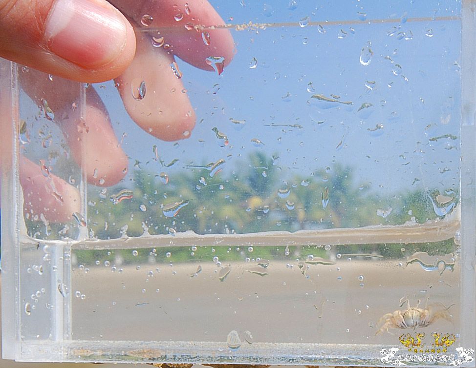 行摄海南（好多鱼）