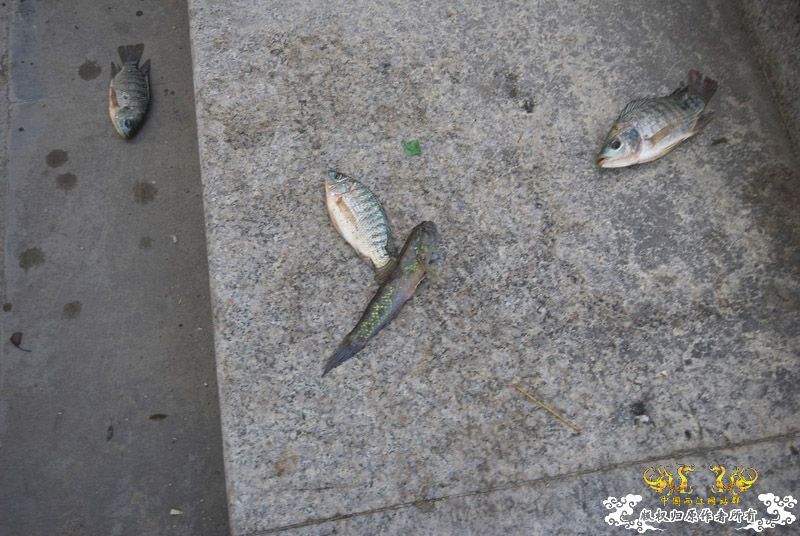 行摄海南（好多鱼）