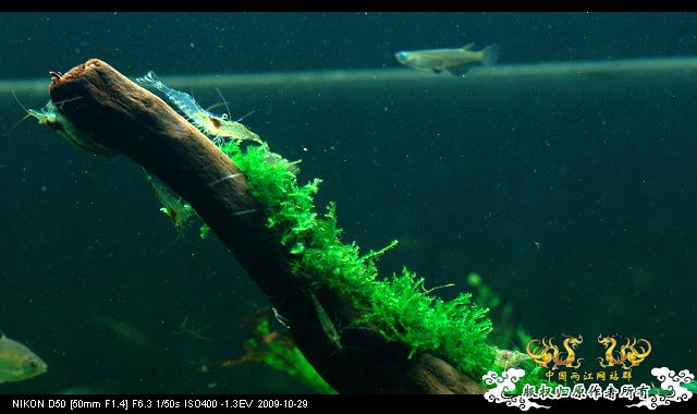 终于玩儿阴的了~