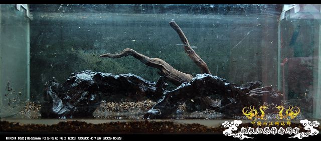 终于玩儿阴的了~