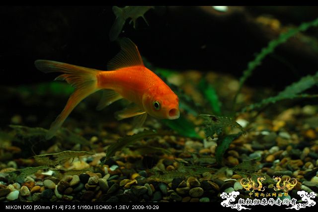 终于玩儿阴的了~