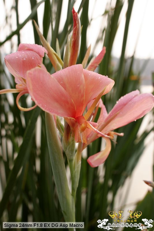 流花湖“野采”大丰收