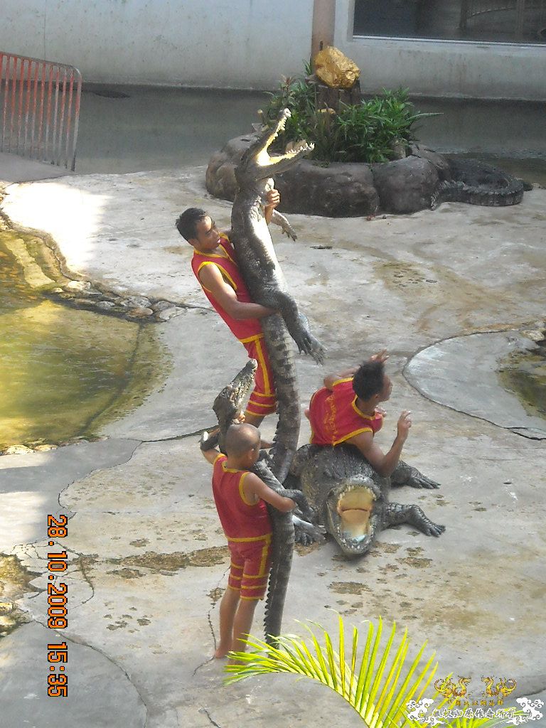 bFnv1ZOo.jpg