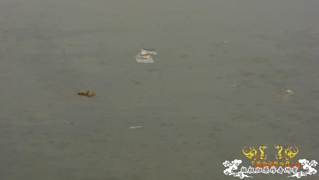 随拍，记录垃圾赣江