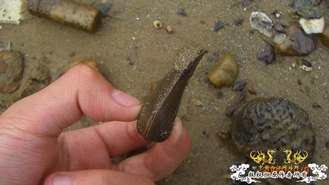 随拍，记录垃圾赣江